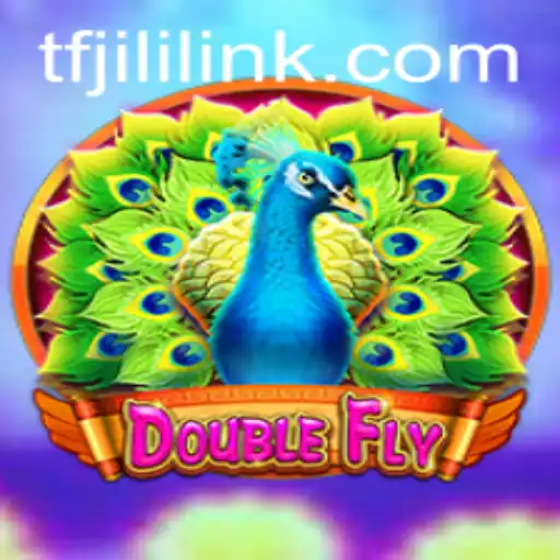 DoubleFly: An Exciting New Adventure Awaits